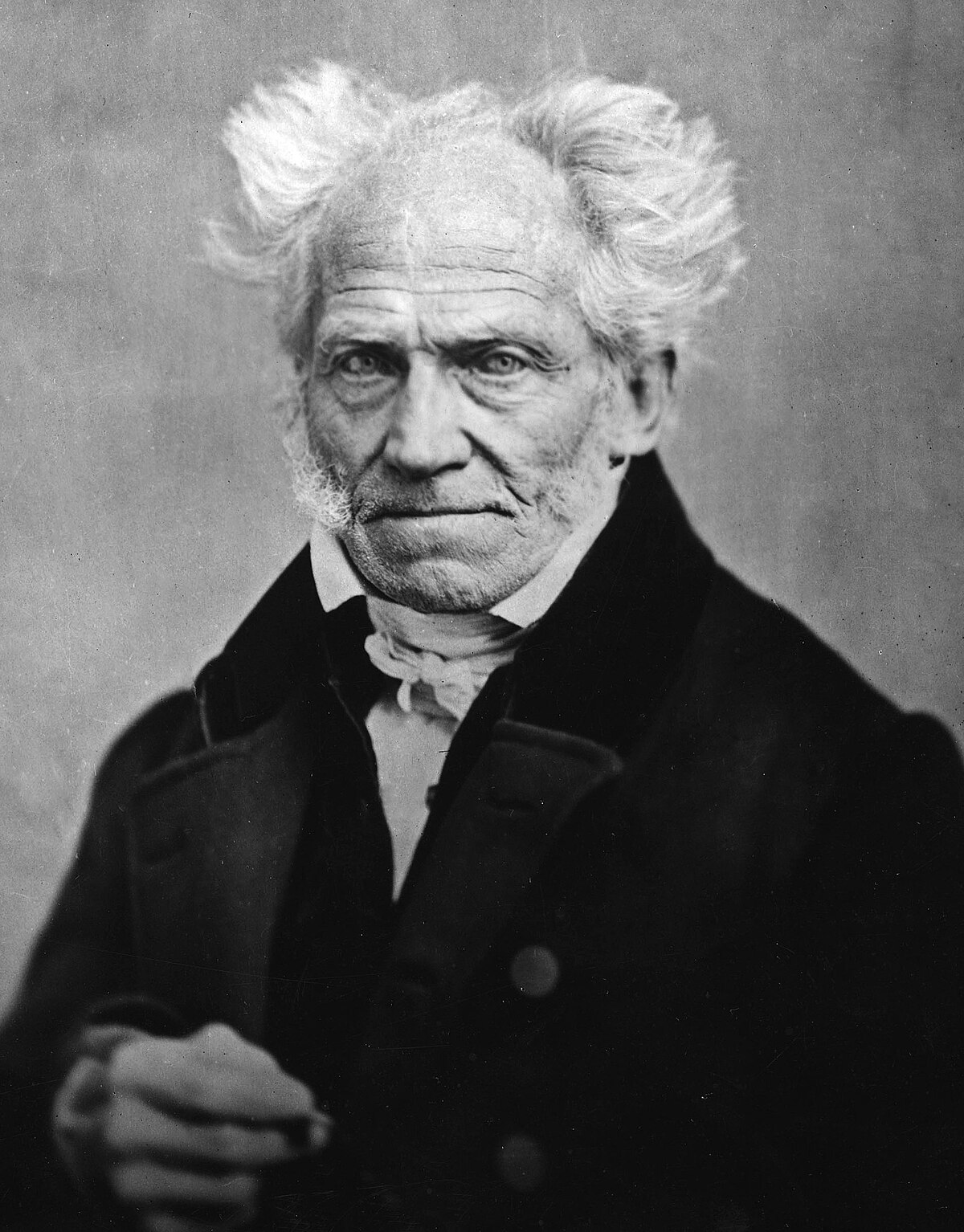 Schopenhauer Portrait