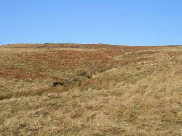 Peter Kingsley Portrait